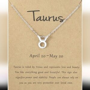 Silver Zodiac Necklace